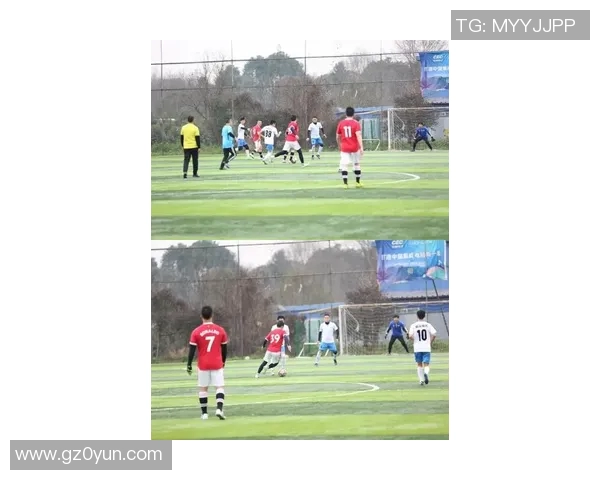 骡子足球比赛精彩视频直播全程在线观看尽享赛事激情与乐趣